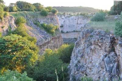 Acquaviva, Gioia e Mellitto: l� dove sono nascoste le incontaminate oasi del Wwf